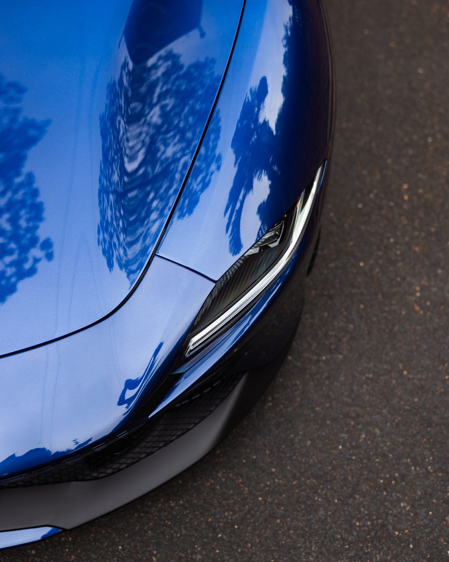The Roma's bumper corner and headlight under film, the trees reflected cleanly
