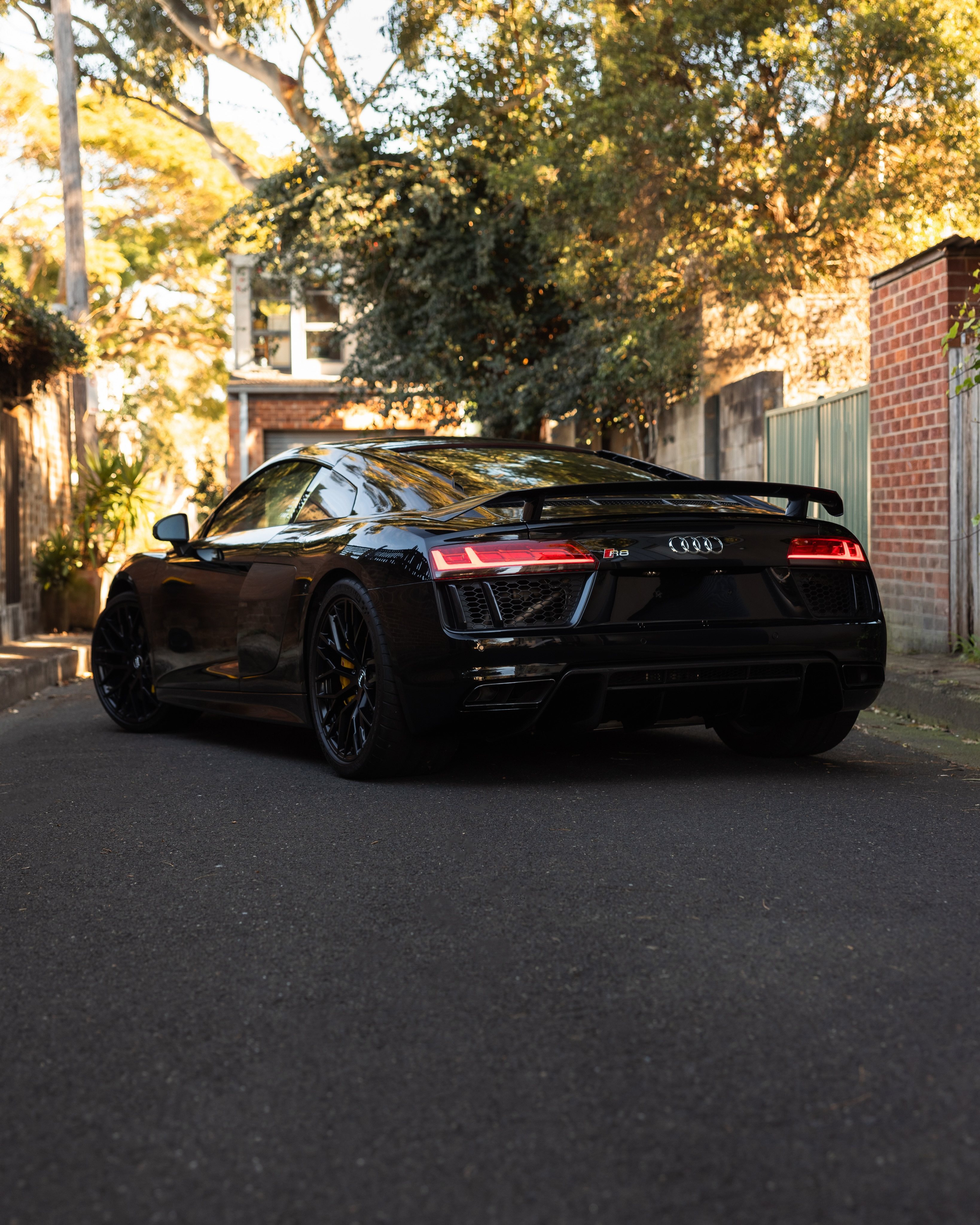 Black Audi R8 from the rear three-quarter in a tree-lined Sydney lane at golden hour
