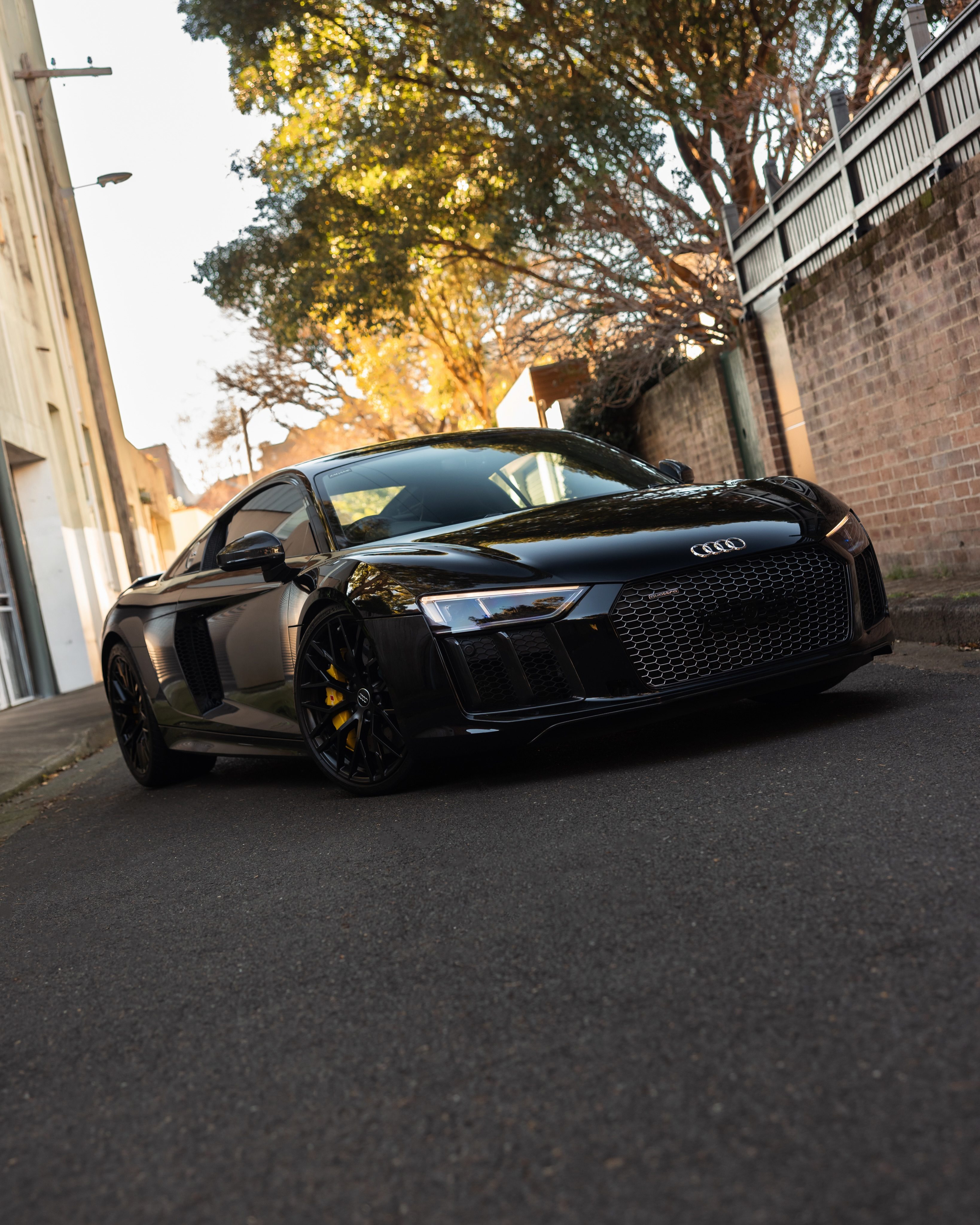 Black Audi R8 from the rear three-quarter in a tree-lined Sydney lane at golden hour